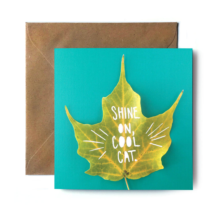 The Leaf A Message Collection by Tiny and Snail