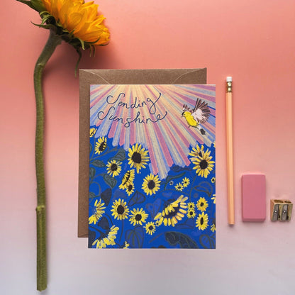 Look for the Light Mini Pack of 5 - Summer edition