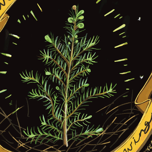 We Are Happiest When We Are Growing Quote Card