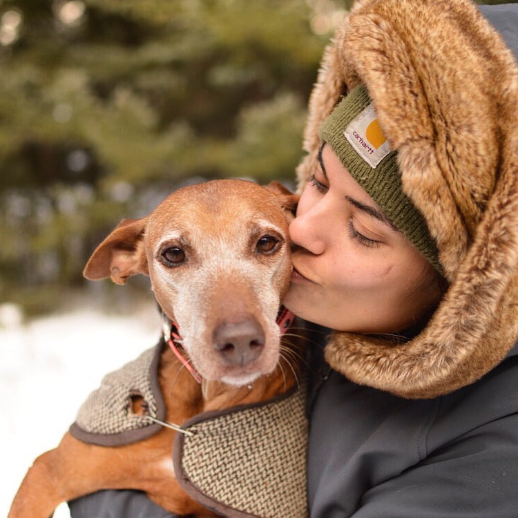 Rescued Sticker sticker Tiny and Snail